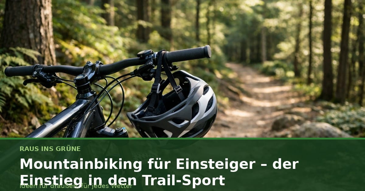 Mountainbike mit Helm auf einem Waldweg zwischen hohen Bäumen